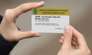 Cara Cek Nomor KPJ dengan NIK Terbaru 2026, Mudah!