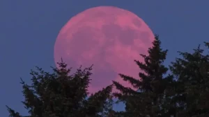 Pink Moon 2026: Fenomena Bulan Purnama April dan Maknanya