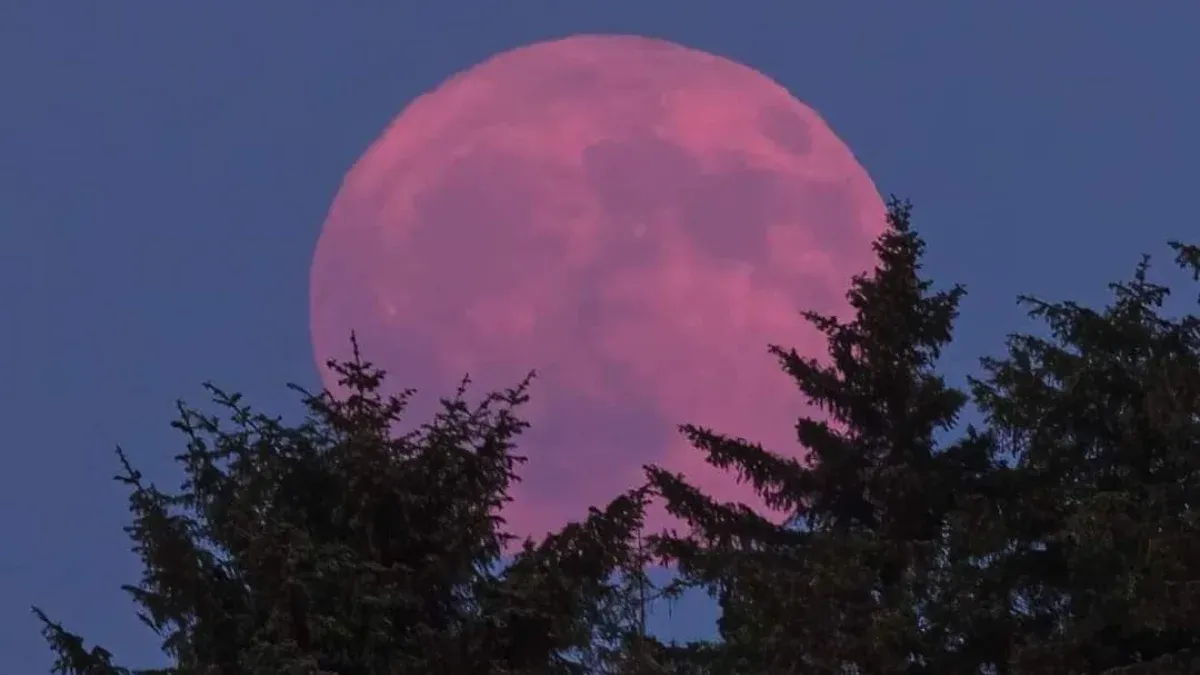 Pink Moon 2026: Fenomena Bulan Purnama April dan Maknanya