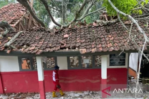 Pohon Tumbang Timpa SDN Cianjur, 6 Siswa Jadi Korban